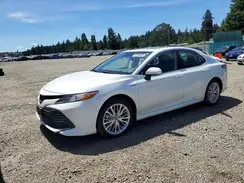 4T1B21HK4KU516447 2019 TOYOTA CAMRY
