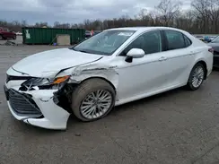 4T1B21HK4KU520840 2019 TOYOTA CAMRY