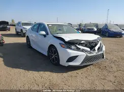 4T1B21HK4LU014670 2020 TOYOTA CAMRY
