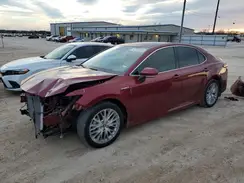 4T1B21HK5KU513640 2019 TOYOTA CAMRY