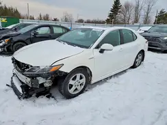 4T1B21HK5KU514111 2019 TOYOTA CAMRY