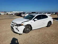 4T1B21HK5KU515906 2019 TOYOTA CAMRY