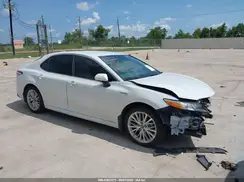 4T1B21HK5KU519034 2019 TOYOTA CAMRY