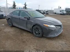 4T1B21HK5KU519048 2019 TOYOTA CAMRY