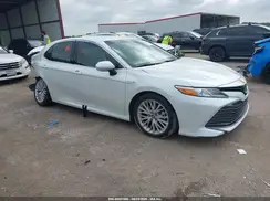 4T1B21HK5KU521558 2019 TOYOTA CAMRY