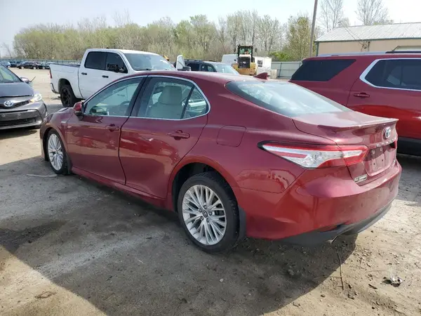 4T1B21HK6KU513193 2019 TOYOTA CAMRY - Image 2