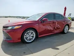 4T1B21HK6KU513842 2019 TOYOTA CAMRY