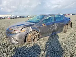 4T1B21HK6KU516773 2019 TOYOTA CAMRY