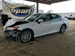 4T1B21HK6KU516983 2019 TOYOTA CAMRY