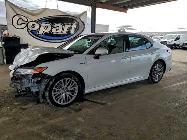 4T1B21HK6KU516983 2019 TOYOTA CAMRY - Image 1
