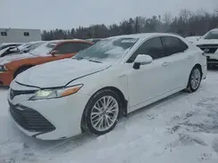 4T1B21HK6KU517843 2019 TOYOTA CAMRY