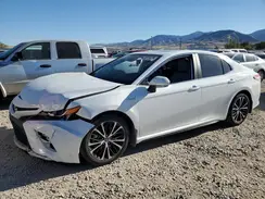 4T1B21HK6KU520564 2019 TOYOTA CAMRY