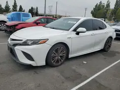 4T1B21HK7JU007855 2018 TOYOTA CAMRY