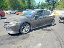 4T1B21HK7JU501360 2018 TOYOTA CAMRY