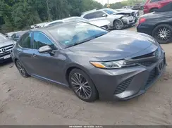 4T1B21HK7KU011874 2019 TOYOTA CAMRY