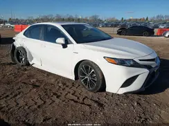 4T1B21HK7KU012507 2019 TOYOTA CAMRY