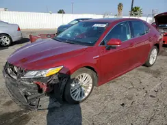 4T1B21HK7KU012815 2019 TOYOTA CAMRY