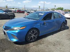 4T1B21HK7KU012992 2019 TOYOTA CAMRY