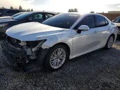 4T1B21HK7KU511582 2019 TOYOTA CAMRY