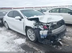 4T1B21HK7KU513445 2019 TOYOTA CAMRY