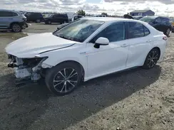 4T1B21HK7KU514689 2019 TOYOTA CAMRY