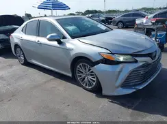 4T1B21HK7KU516281 2019 TOYOTA CAMRY
