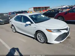 4T1B21HK7KU519262 2019 TOYOTA CAMRY