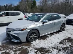 4T1B21HK7MU015281 2021 TOYOTA CAMRY
