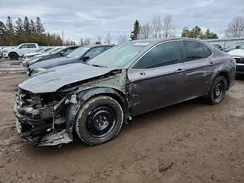 4T1B21HK7MU016365 2021 TOYOTA CAMRY