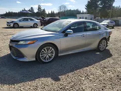 4T1B21HK8KU010524 2019 TOYOTA CAMRY