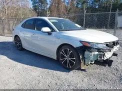 4T1B21HK8KU514054 2019 TOYOTA CAMRY