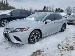 4T1B21HK8LU522236 2020 TOYOTA CAMRY