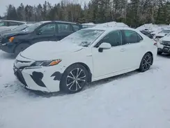 4T1B21HK8LU522978 2020 TOYOTA CAMRY