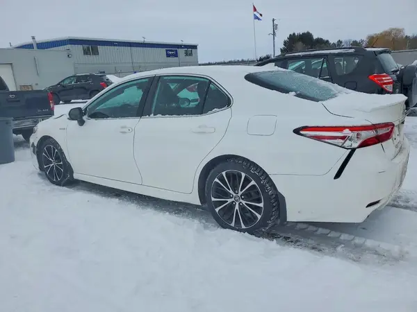 4T1B21HK8LU522978 2020 TOYOTA CAMRY - Image 2