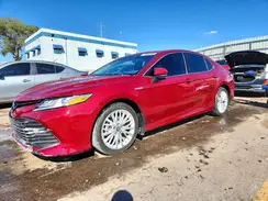 4T1B21HK9KU013139 2019 TOYOTA CAMRY
