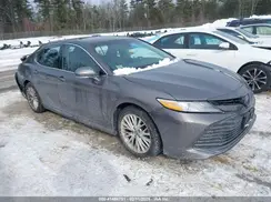 4T1B21HK9KU511194 2019 TOYOTA CAMRY