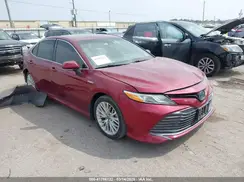 4T1B21HK9KU514354 2019 TOYOTA CAMRY