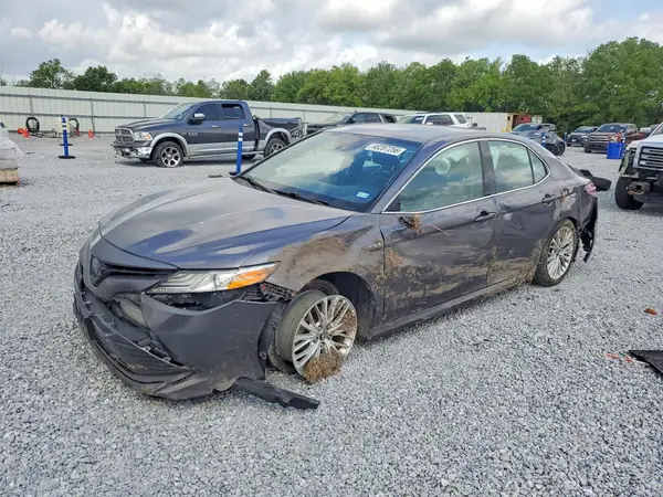 4T1B21HK9KU516279 2019 TOYOTA CAMRY - Image 1