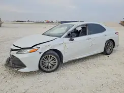 4T1B21HK9KU519103 2019 TOYOTA CAMRY