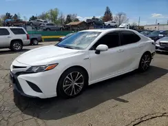 4T1B21HK9KU519909 2019 TOYOTA CAMRY