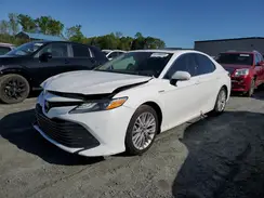 4T1B21HK9KU520736 2019 TOYOTA CAMRY
