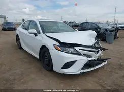 4T1B21HK9KU520798 2019 TOYOTA CAMRY