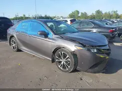 4T1B21HK9LU015071 2020 TOYOTA CAMRY