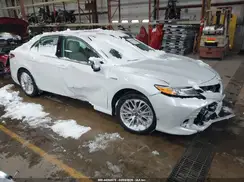 4T1B21HKXKU516002 2019 TOYOTA CAMRY