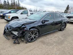 4T1B21HKXLU014656 2020 TOYOTA CAMRY