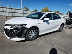 4T1B31HK0KU005105 2019 TOYOTA CAMRY