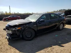 4T1B31HK0KU005833 2019 TOYOTA CAMRY