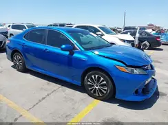 4T1B31HK0KU006058 2019 TOYOTA CAMRY