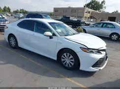 4T1B31HK0KU007453 2019 TOYOTA CAMRY