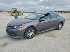 4T1B31HK0KU008845 2019 TOYOTA CAMRY